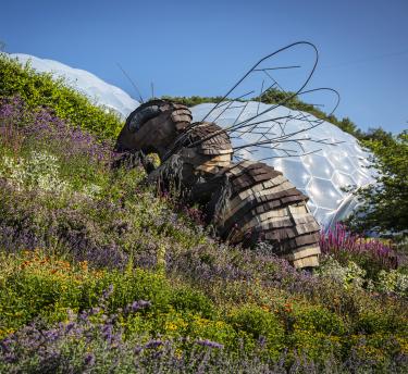 A giant bee sculpture installed on the side of a green bank with the Eden biome's in view in the distance